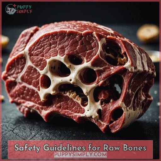 Safety Guidelines for Raw Bones