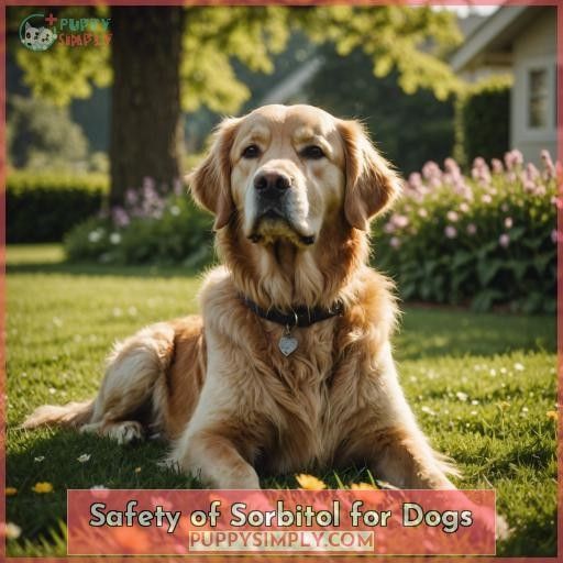 Safety of Sorbitol for Dogs