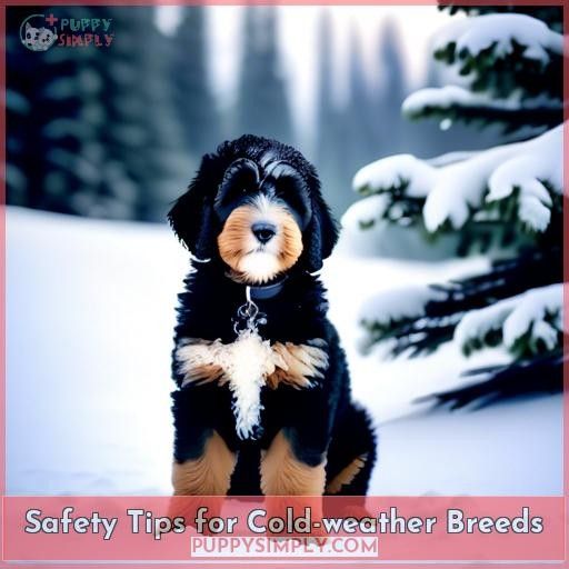 Safety Tips for Cold-weather Breeds