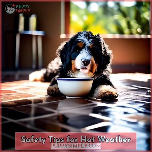 Safety Tips for Hot Weather