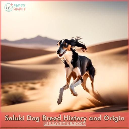 Saluki Dog Breed History and Origin