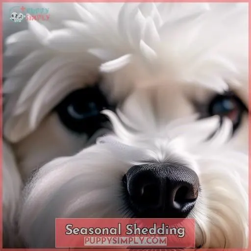 Seasonal Shedding