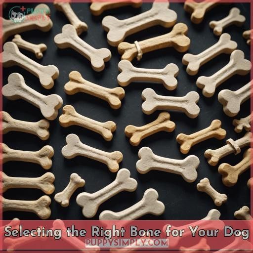 Selecting the Right Bone for Your Dog