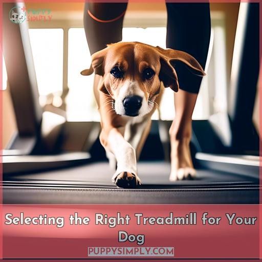 Selecting the Right Treadmill for Your Dog
