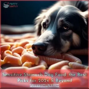 sensitive stomach dog food