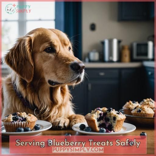 Serving Blueberry Treats Safely