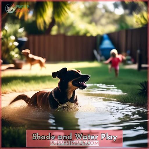 Shade and Water Play