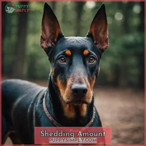 Shedding Amount