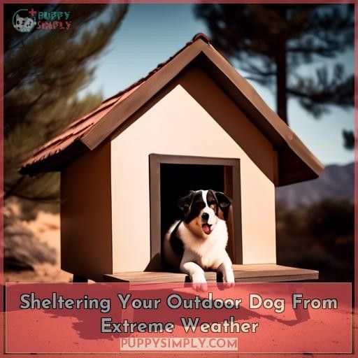 Sheltering Your Outdoor Dog From Extreme Weather
