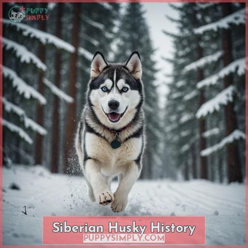 Siberian Husky History