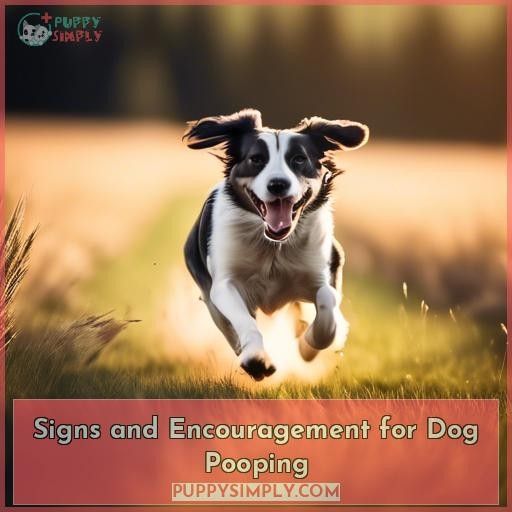 Signs and Encouragement for Dog Pooping