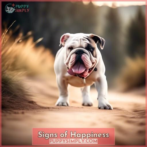 Signs of Happiness Signs of Happiness