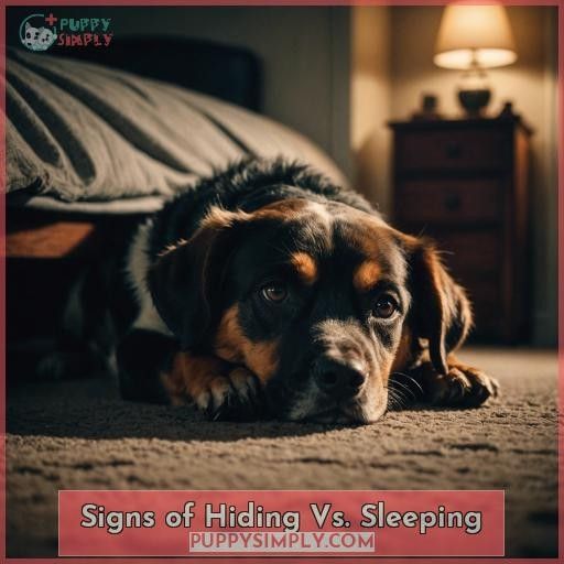 Signs of Hiding Vs. Sleeping