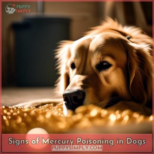 Signs of Mercury Poisoning in Dogs