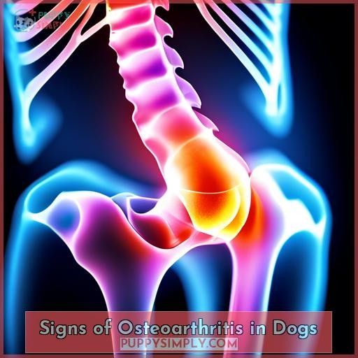 Signs of Osteoarthritis in Dogs