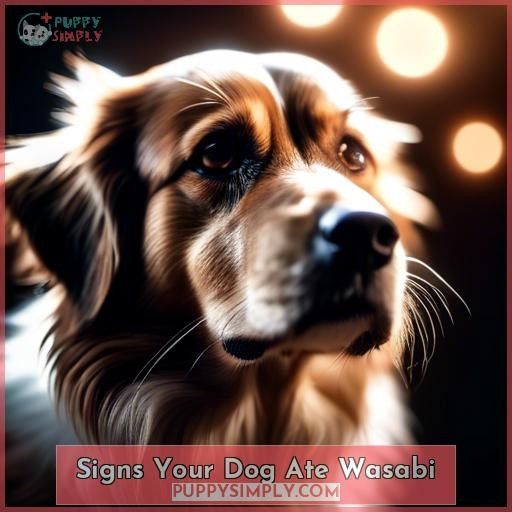 Signs Your Dog Ate Wasabi
