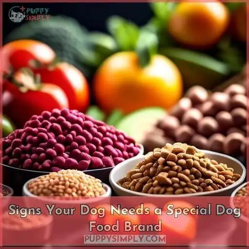 Signs Your Dog Needs a Special Dog Food Brand Signs Your Dog Needs a Special Dog Food Brand