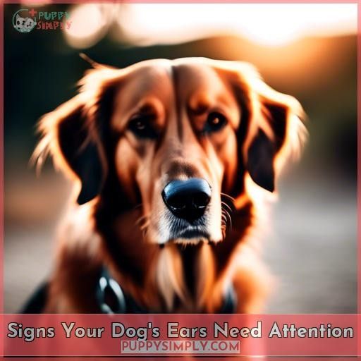Signs Your Dog