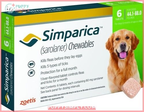 Simparica Chewable Tablet for Dogs,