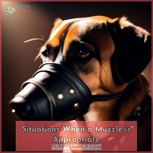 Situations When a Muzzle is Appropriate