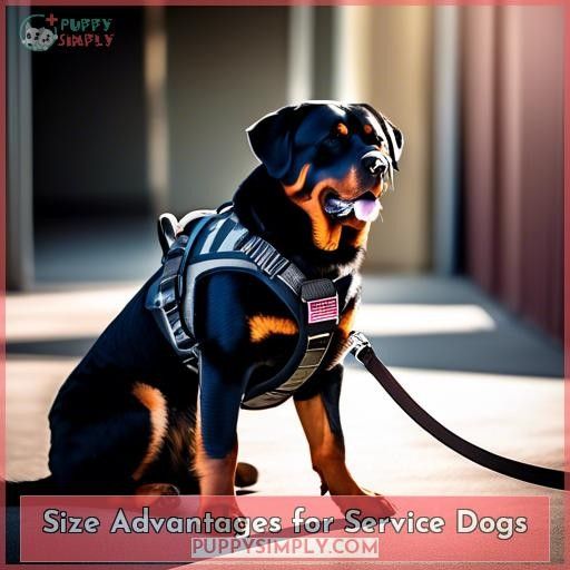 Size Advantages for Service Dogs