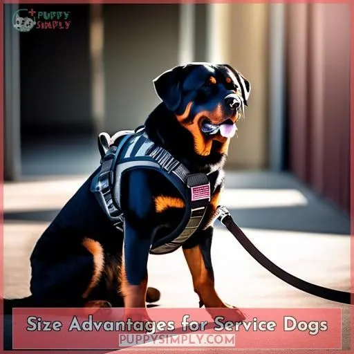 Size Advantages for Service Dogs
