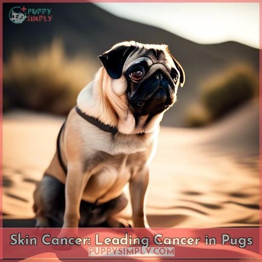 Skin Cancer: Leading Cancer in Pugs