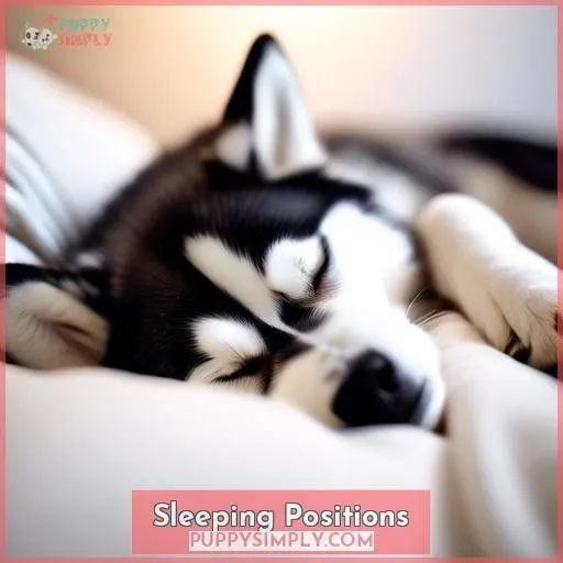 Sleeping Positions