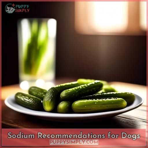 Sodium Recommendations for Dogs