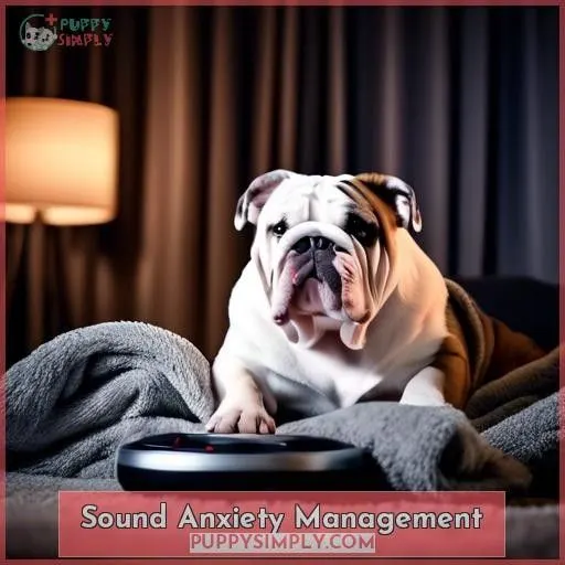 Sound Anxiety Management