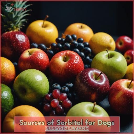 Sources of Sorbitol for Dogs