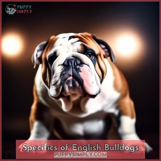 Specifics of English Bulldogs