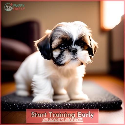 Start Training Early