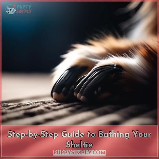 Step-by-Step Guide to Bathing Your Sheltie