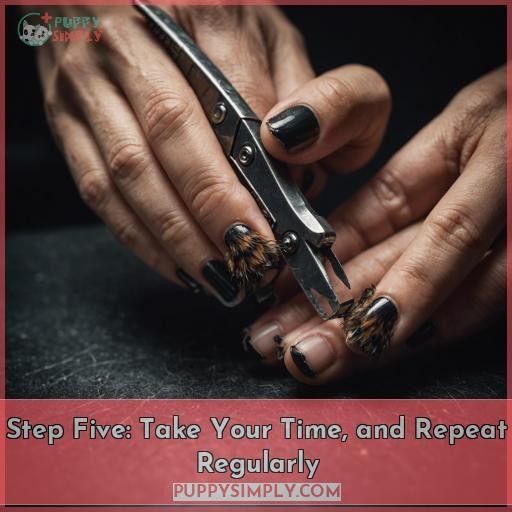 Step Five: Take Your Time, and Repeat Regularly
