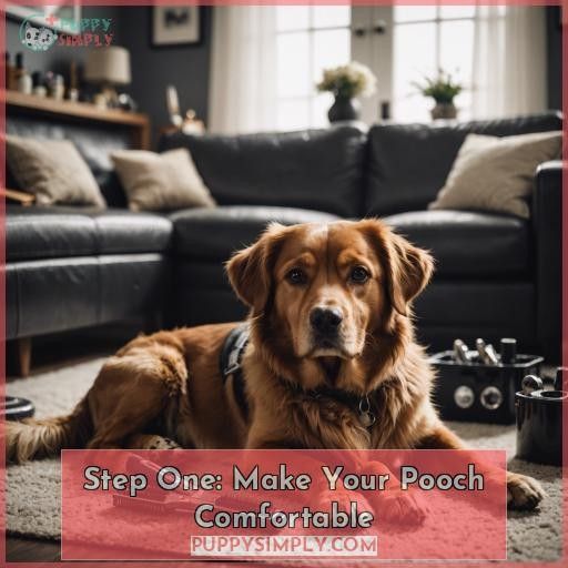 Step One: Make Your Pooch Comfortable