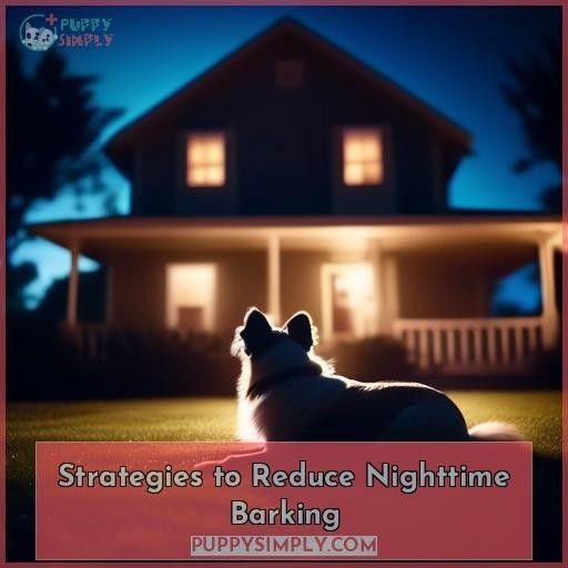 Strategies to Reduce Nighttime Barking