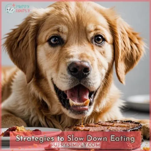 Strategies to Slow Down Eating