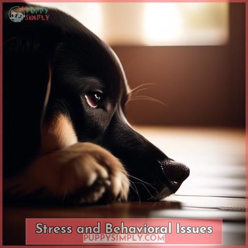 Stress and Behavioral Issues