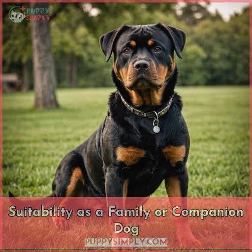 Suitability as a Family or Companion Dog