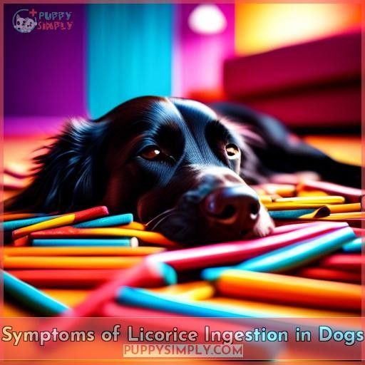 Symptoms of Licorice Ingestion in Dogs