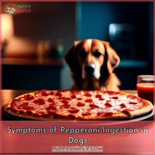 Symptoms of Pepperoni Ingestion in Dogs