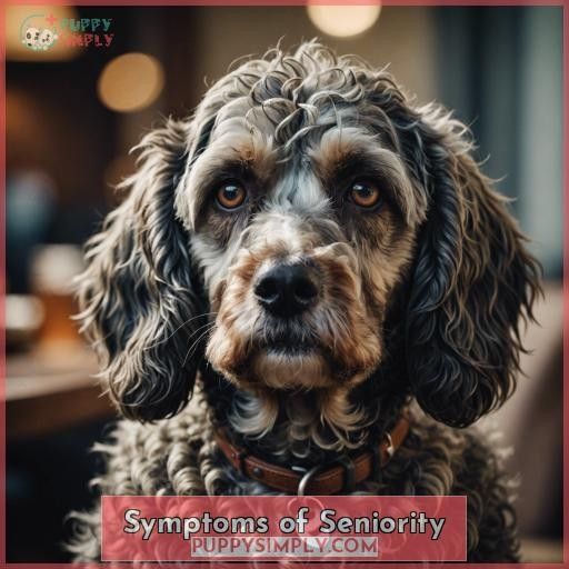 Symptoms of Seniority
