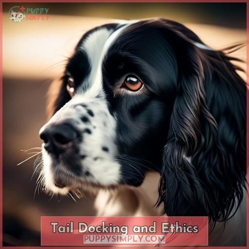 Tail Docking and Ethics