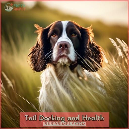 Tail Docking and Health