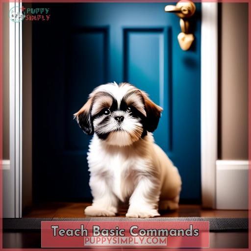 Teach Basic Commands