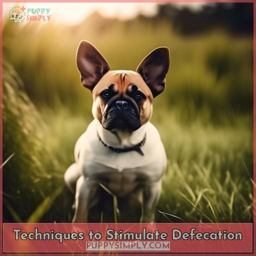 Techniques to Stimulate Defecation