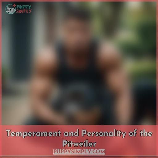 Temperament and Personality of the Pitweiler