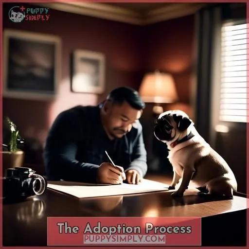 The Adoption Process