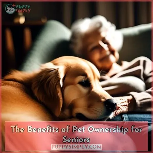 The Benefits of Pet Ownership for Seniors